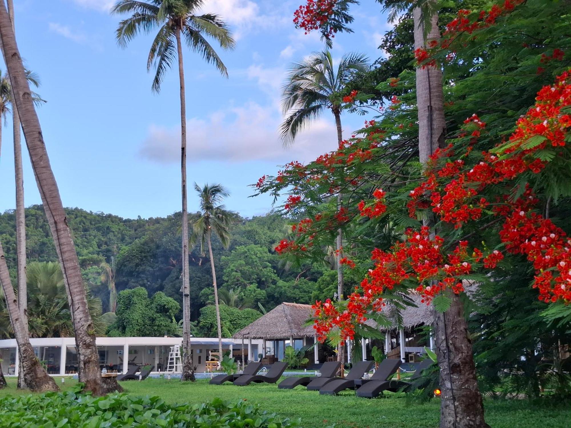 Bebeladan Beach Resort, In The Last Indigenous Corner إل نيدو المظهر الخارجي الصورة